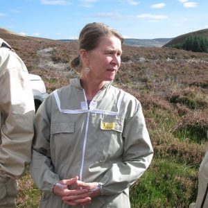 Photo of Ann Chilcott, owner and author of Beelistener.co.uk