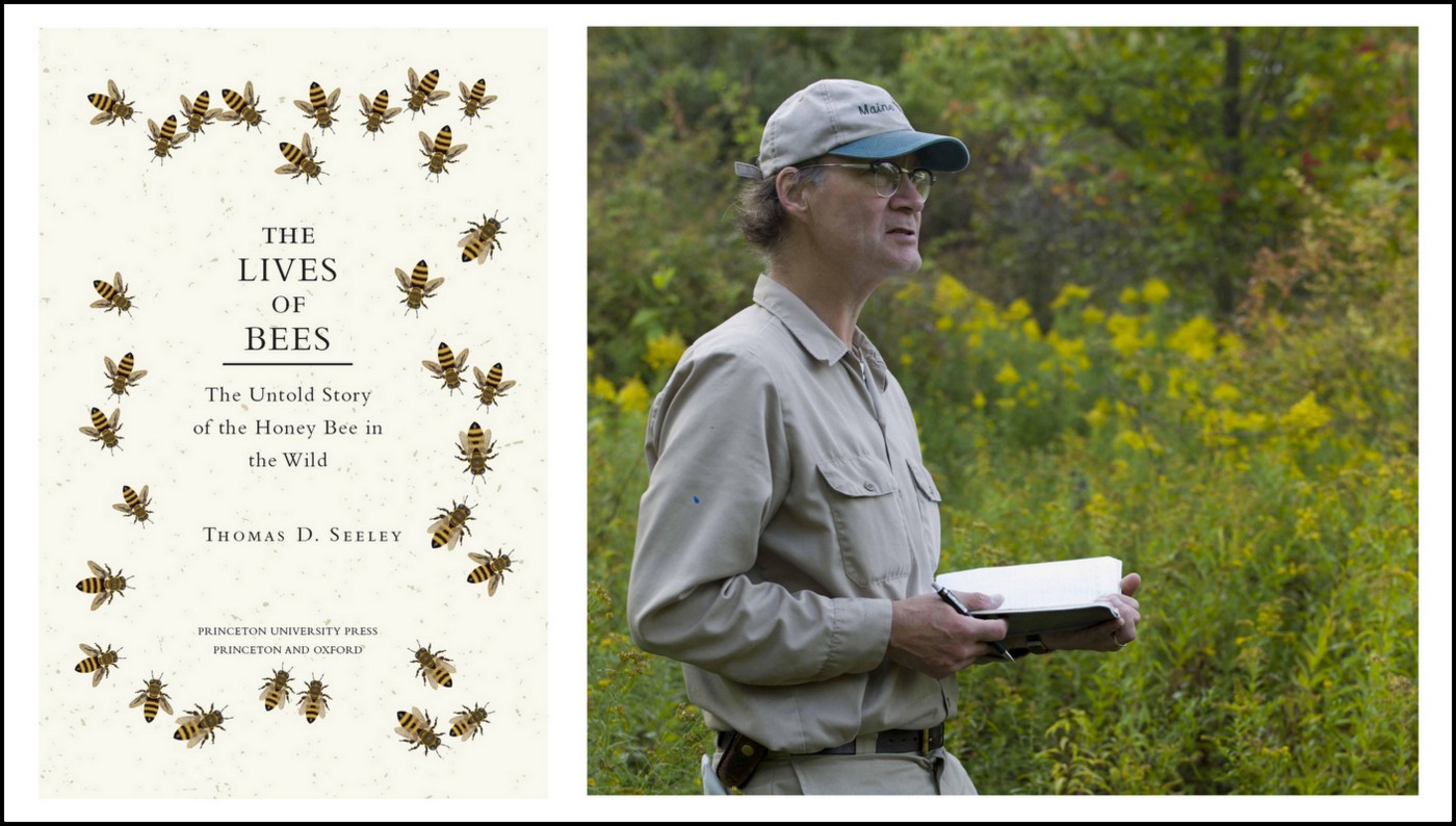 Book Review Lives of bees Thomas D Seeley