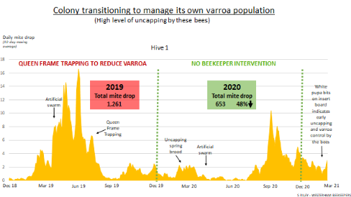 Graph 3